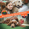 Safe Dog Training Collar No Shock
