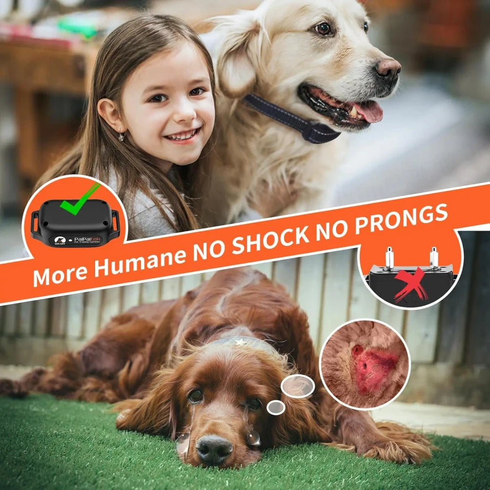 Safe Dog Training Collar No Shock