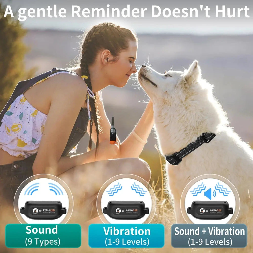 Safe Dog Training Collar No Shock
