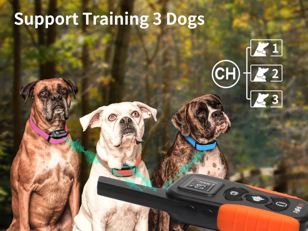 Safe Dog Training Collar No Shock