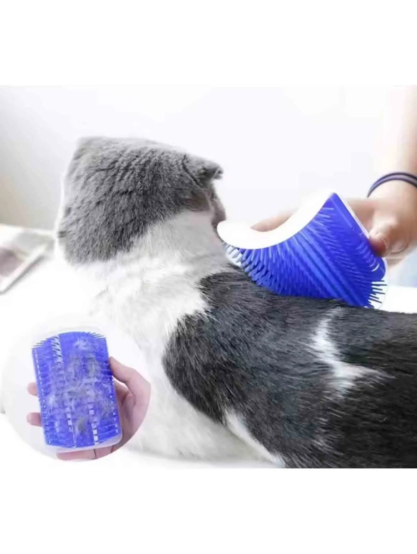 Cat Massage Tool Pet Hair Removal Massage Comb Wall Corner Self Cleaning Rubbing Brush Cats Toys Pet Beauty Supplies Cat Supplie