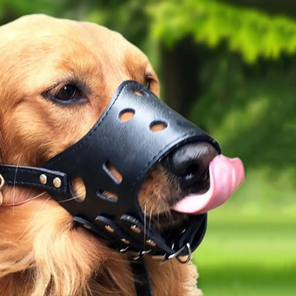Anti-Biting Secure Anti Bark Chewing For Small Large Dogs Pet Mouth Cover Mouth Mask Dog Muzzle Dog Prevention Supplies