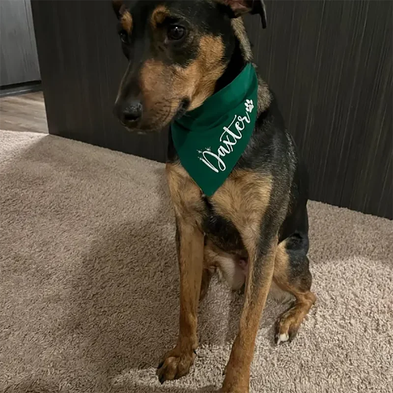 Personalized name Dog Christmas Bandana Red Green Holiday Christmas New Year gift Decoration for Pet Birthday Party supplies