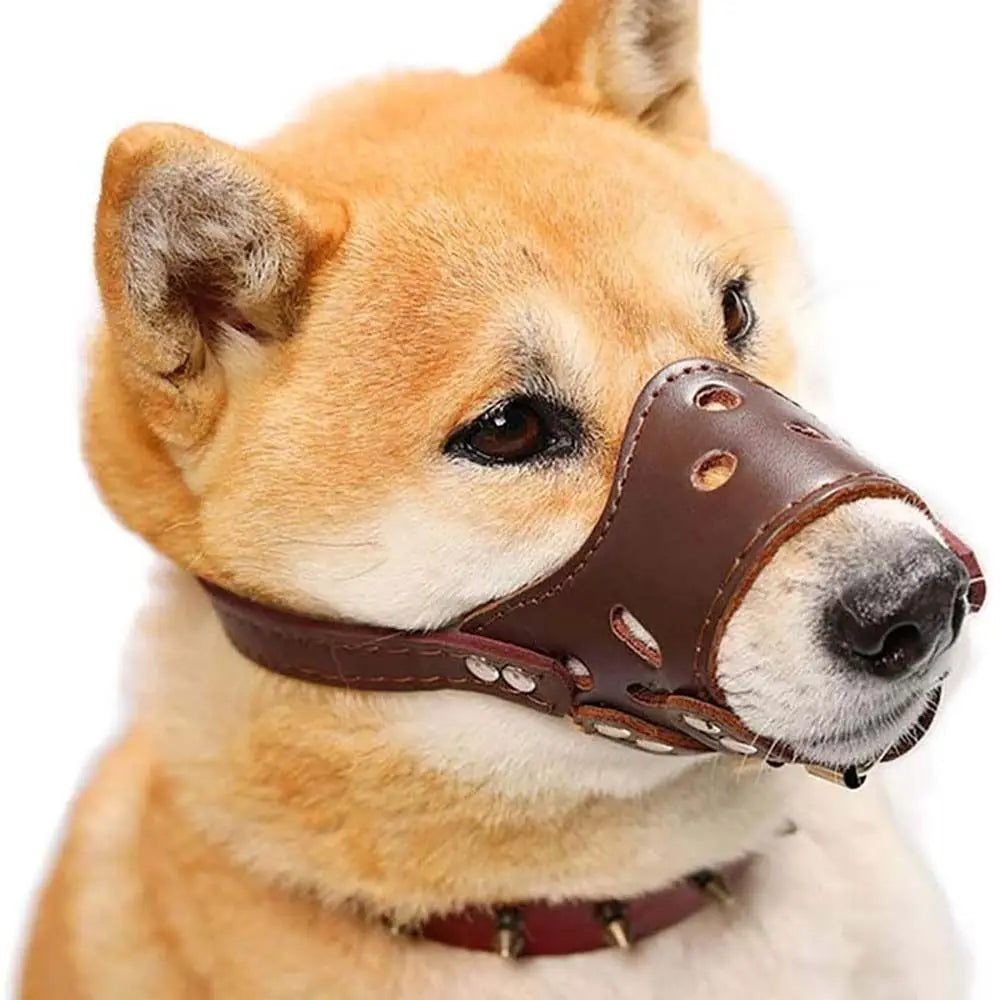 Anti-Biting Secure Anti Bark Chewing For Small Large Dogs Pet Mouth Cover Mouth Mask Dog Muzzle Dog Prevention Supplies