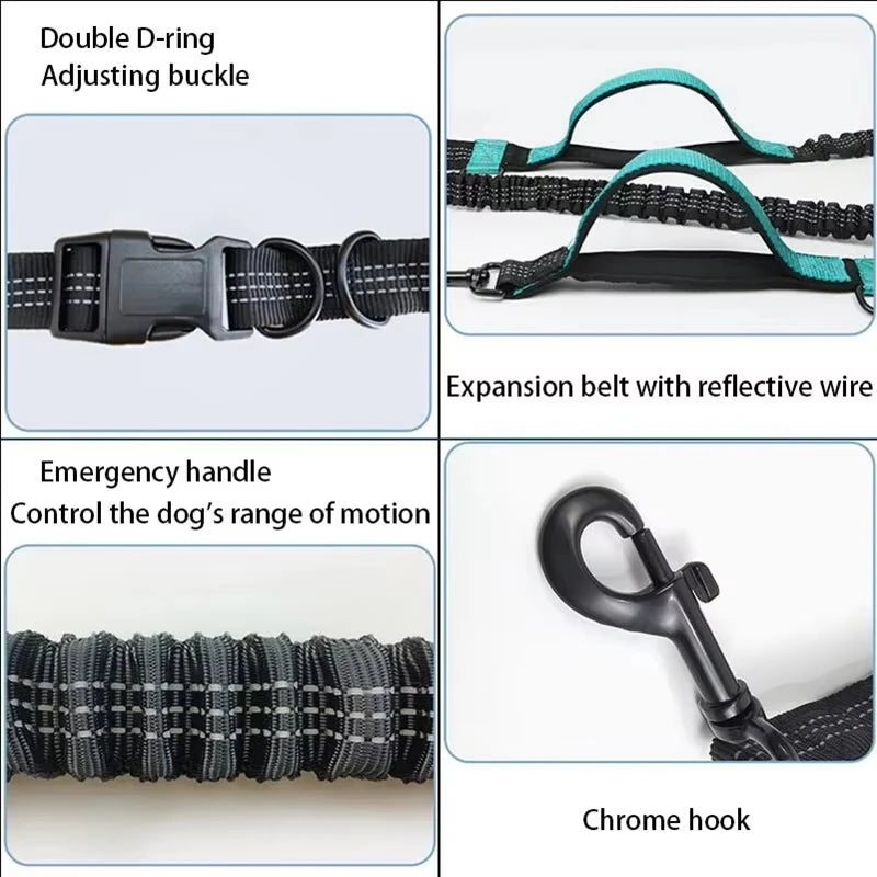 Double Elastic Reflective Running Leash Portable Retractable Dog Leash Dog Chain Leash Pet Supplies Wholesale