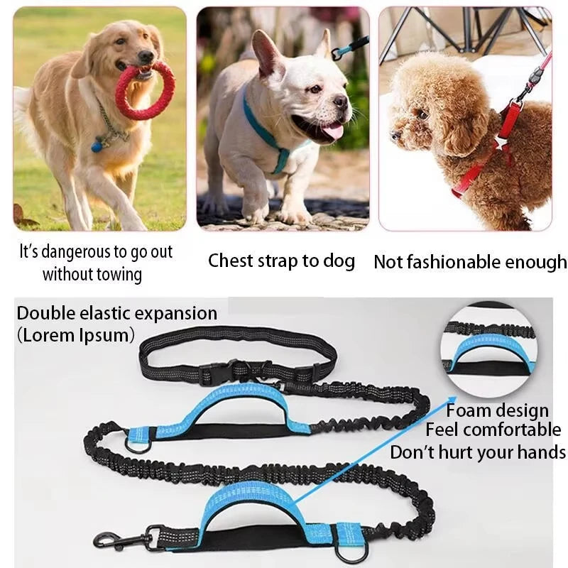 Double Elastic Reflective Running Leash Portable Retractable Dog Leash Dog Chain Leash Pet Supplies Wholesale