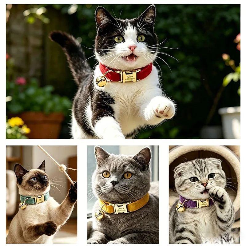 Custom Name Tag Velvet Cat Personalized Engraved Pet Name For Cats Cat Supplies Cat Belt With Bell Pets