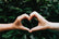 LOVE MY PET GALORE - Home
